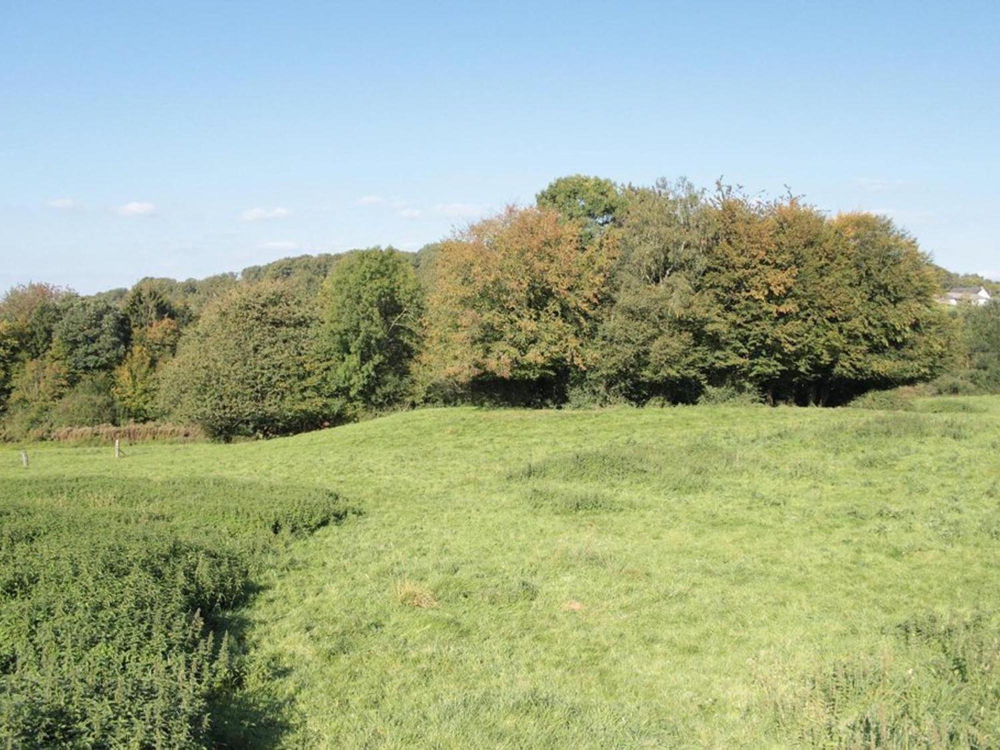 Maison Charmante Avec Jardin, Proche Val Joly, Animaux Admis, Wifi - Fr-1-510-166 Apartment